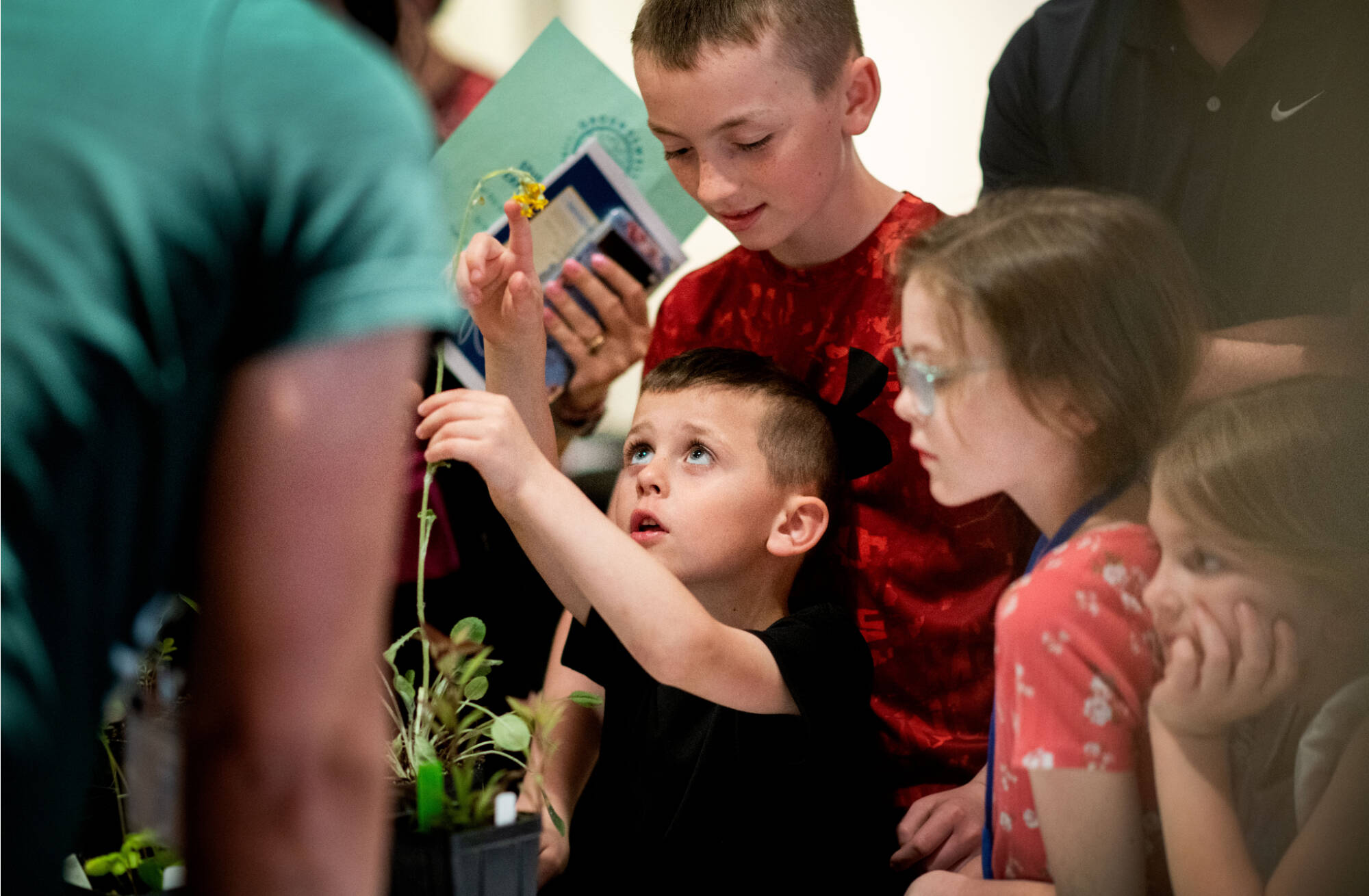 child reaching up to touch animal in adult's hand, surrounded by other children